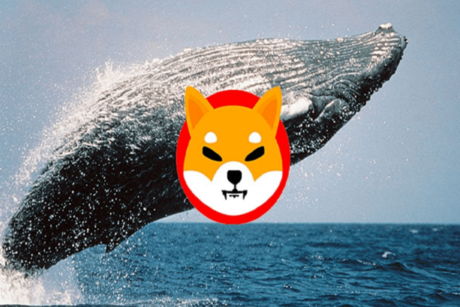 Wieloryby Shiba Inu i Doge inwestują 26,53 mln USD w przedsprzedaży tego tokena Ethereum