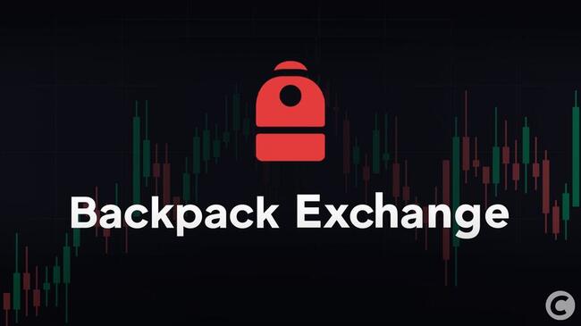 Cryptomonnaies : Backpack Exchange nomme un cadre de Citibank comme responsable de son audit
