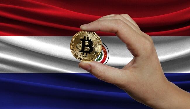 Governo do Paraguai “rouba” os mineradores de Bitcoin, acusa senador