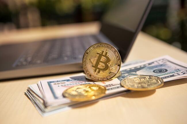 Bitcoin kan op een dag de Amerikaanse dollar vervangen, aldus Twitter-oprichter