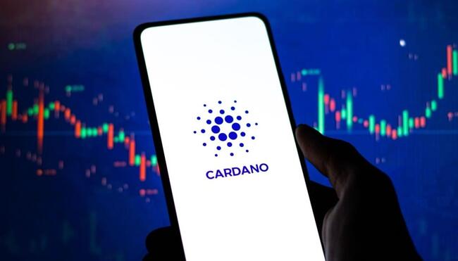 Cardano is klaar voor de aankomende strenge Europese regels