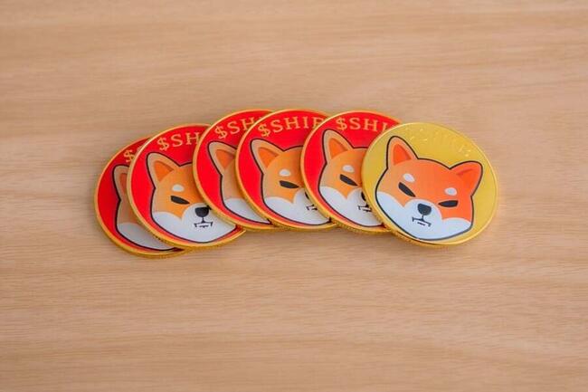 'Dogecoin Killer' Shiba Inu's Burn Rate Skyrockets 8,596%: 'Something Special' Is Cooking, Says Marketing Lead