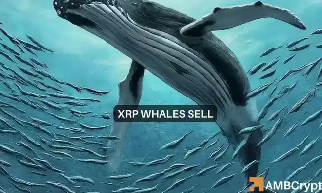 Observación de ballenas en XRP: a medida que se mueven 63 millones de tokens, ¿se avecina una venta masiva?