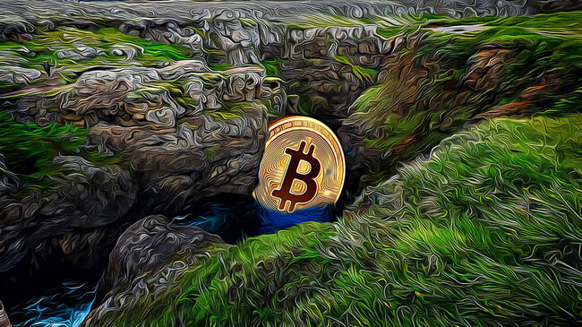 Las Ballenas de Bitcoin Activan el Mercado