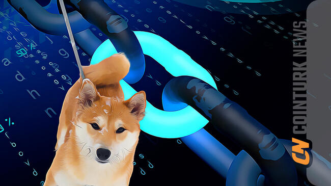 Elon Musk’s Support Boosts DOGE Price to $0.73 in 2021