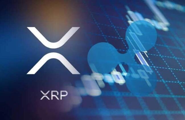 리플 CTO “XRP는 투자 자산보다 교환 매체” 시사