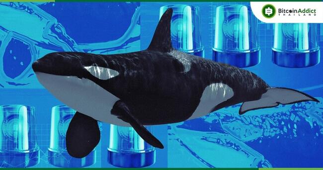 LookOnChain พบ! มีวาฬโอน BTC กว่า 9,500 BTC มายัง Binance ในสัปดาห์ที่ผ่านมา 