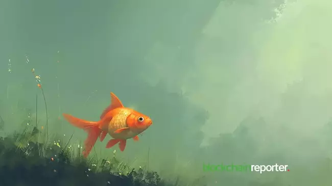 Litentry Announces an Exclusive Collaboration with TunaChain
