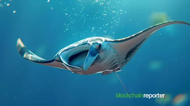 Manta x Dill: Enhancing Uptime & Resilience For the Users