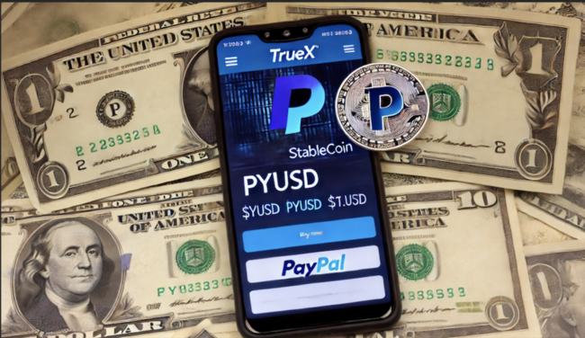 前 Coinbase 高層推出新交易所 TrueX，主打 PayPal 穩定幣 PyUSD 交易對