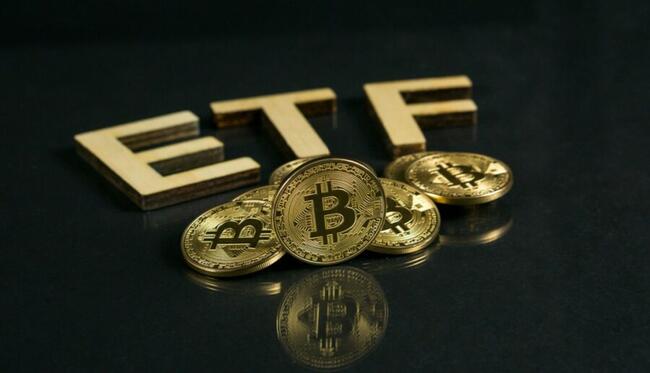 ETFs de Bitcoin quebram sequência de 4 dias de entradas com saídas de US$ 53 milhões