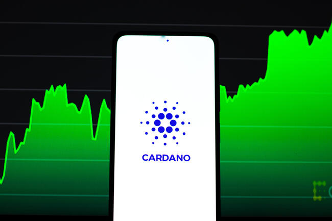 Cardano (ADA) nähert sich den Top 10 nach einem Kursanstieg, der durch zunehmende Whale-Aktivität angetrieben wird