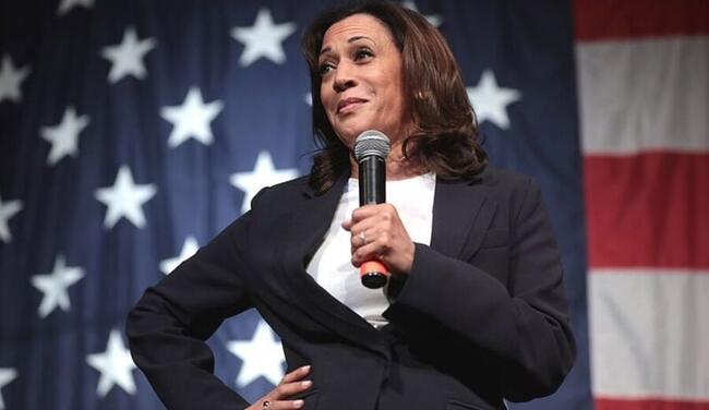 Mandato de Kamala Harris pode ser melhor para o Bitcoin, diz VanEck