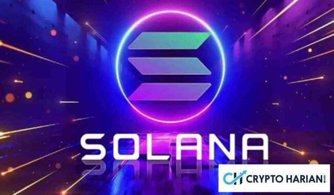 Solana, BNB Dan Dogecoin, Yang Mana Terbaik Untuk 2024?