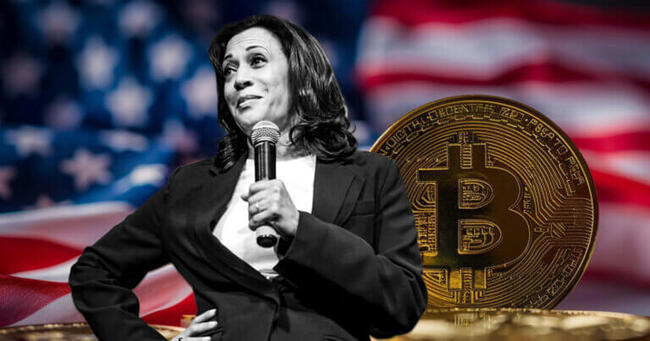 นักวิเคราะห์ของ VanEck กล่าว Bitcoin จะได้อานิสงส์ผลดียิ่งกว่าหาก Kamala Harris ชนะเลือกตั้ง