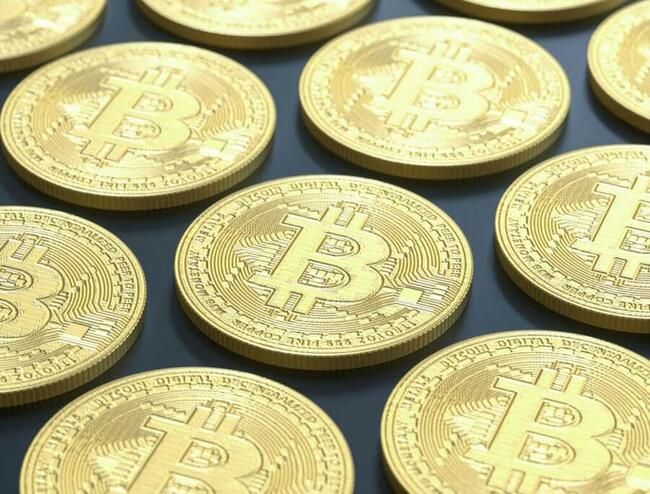 Bitcoin ar putea atinge un maxim istoric până la sfârșitul anului 2024