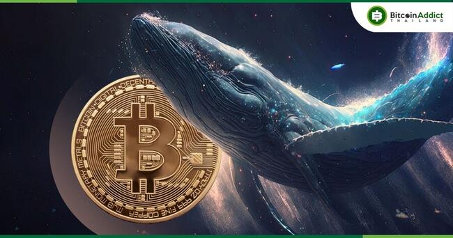 ชนชั้นกลางของ Bitcoin หดตัว : ผู้ถือ 1-10 BTC ลดลงอย่างมีนัยสำคัญ