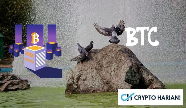 Apakah Pemilu AS dan ETF Bisa Gendong Bitcoin ke US$ 100.000?