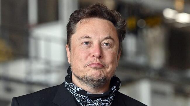 Elon Musk's 'Doge-Flex' Pose Sends Dogecoin, First Neiro On Ethereum Soaring