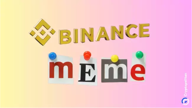 Binance研究报告揭示了 Meme 币市场的高波动性