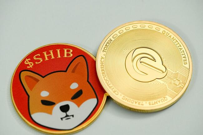 Shiba Inu Price: SHIB Live Price Chart, Market Cap & News Today | CoinGecko