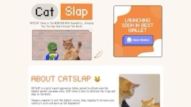 CatSlap เหรียญมีมน้องใหม่มาแรงที่อาจผงาดขึ้นมาแทนที่เหรียญมีม Popcat สุดปั่น