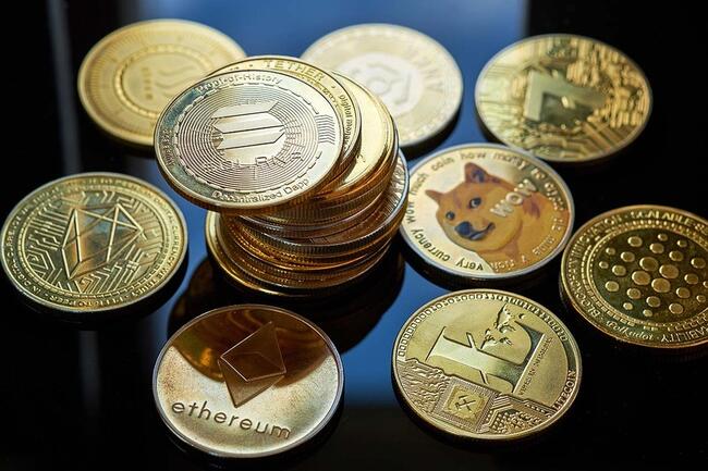 Altcoin piyasasında balina hareketliliği: Fırsat mı, tuzak mı?