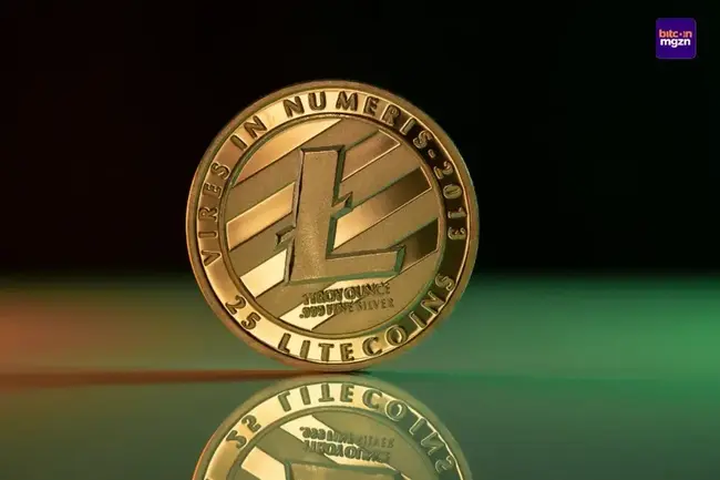 Crypto whales slaan toe: $43 miljoen aan Litecoin gekocht