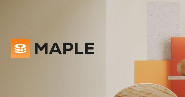 Maple Finance und Volta – Daniel Kims DeFi-Vision