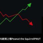ロビンフッドUS新規上場Peanut the SquirrelPNUT

💰Coin:
PNUT ( $PNUT ) $0.1733