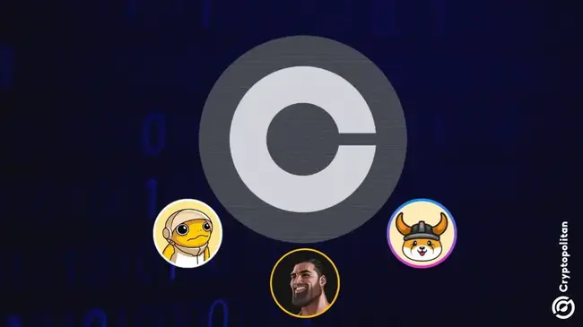 Coinbase يعلق تداول Floki و Turbo و Giga Memecoins في نيويورك