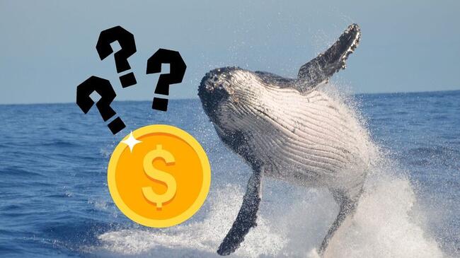 Cá Voi Tiền Ảo Đang Gom Mạnh Những Đồng Coin Nào?