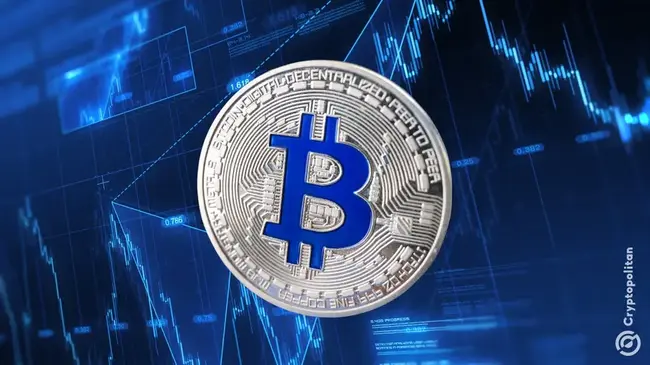 Rex 주식은 Bitcoin Corporate Treasury Convertible Bonds의 Bmax ETF 출시
