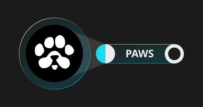 Hướng dẫn claim airdrop PAWS – Đợt airdrop “bùng nổ” sắp diễn ra