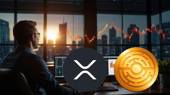 Ekspert twierdzi, że dla posiadaczy XRP szykuje się coś wielkiego. Oto, czego możemy się spodziewać