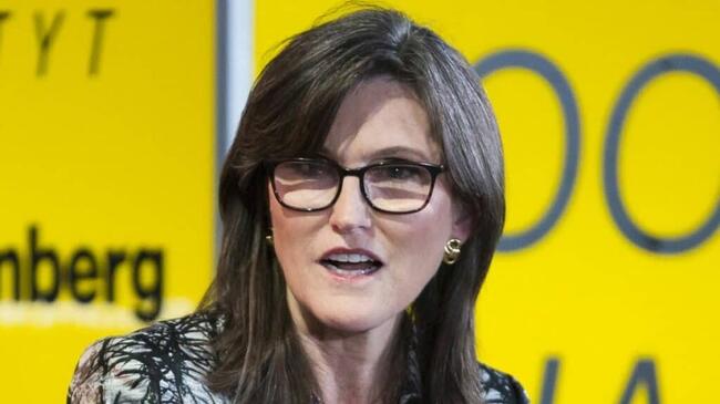 Cathie Wood’s Ark Invest dumpt voor miljoenen aan Bitcoin-aandelen