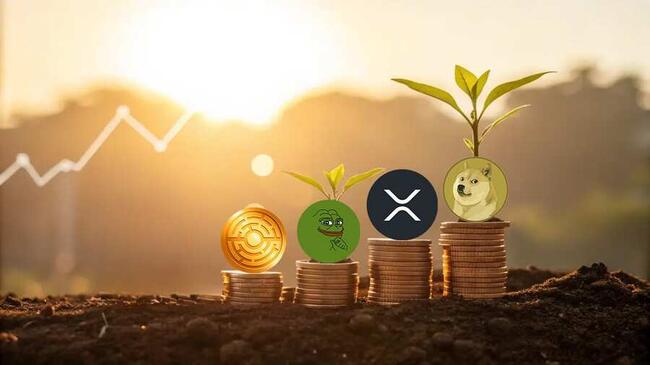 Masz 100 USDT? Te monety mogą szybko pomnożyć tę kwotę do 1000 USDT jeszcze w tym miesiącu!