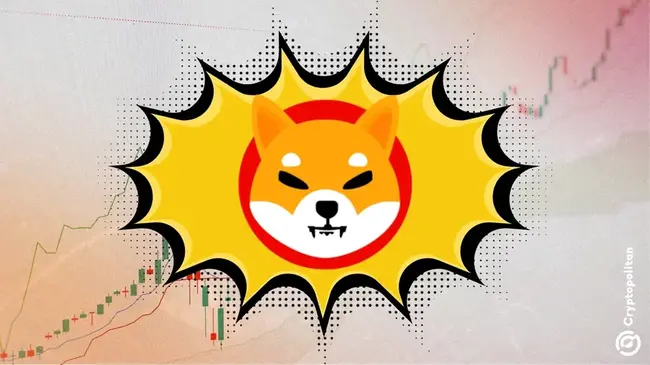 ShibA INU硬币价格预测2025-2031： SHIB 会很快飞涨吗？