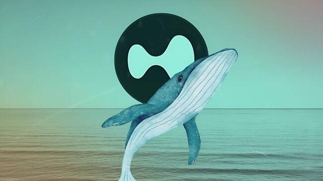 Hyperliquid Whale đóng các vị thế bán khống, lợi nhuận 4,73 triệu USD