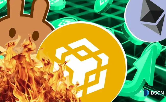 BNB Chain's Dramatic Surge in 2025: Bigger than Ethereum