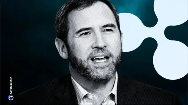 يعلن Brad Garlinghouse من Rippleإنهاء دعوى قضائية بعد أربع سنوات