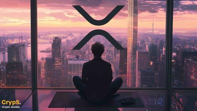 Ekspert prawny mówi, co dalej z Ripple i XRP po wycofaniu się SEC