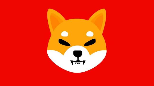 Shiba Inu nakręca sprężynę. Czy SHIB może być jeszcze czarnym koniem hossy?