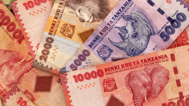 La flessione dell’8,9% dall’inizio dell’anno dello Scellino Tanzaniano gli conferisce lo status di valuta con la peggior performance mondiale.