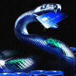 Kuka on 50X Hyperliquid Whale? ZachXBT:llä on vastaus