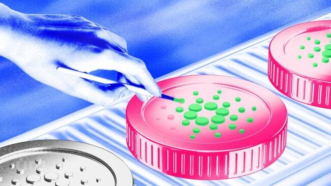 Cardano-haltijat kieltäytyvät myymästä—tämä tarkoittaa ADA:n hintoja