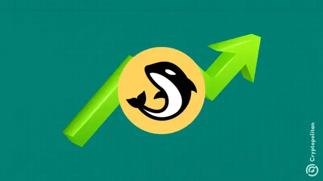 يحمل Orca (ORCA) حاشدًا تقريبًا بنسبة 170 ٪ بعد قائمة Upbit