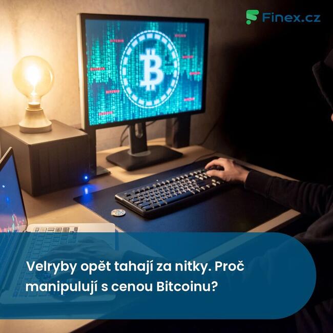 Velryby opět tahají za nitky. Proč manipulují s cenou Bitcoinu?