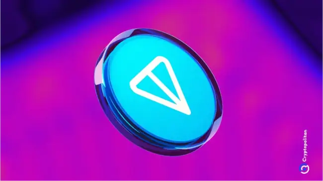 Ton Foundation은 4 억 달러의 모금 보고서를 명확히하고 미국 기반 VC가 보유하고 있다고 말합니다.