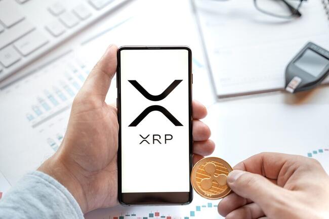 Crypto expert: Zoveel XRP heb je nodig om miljonair te worden